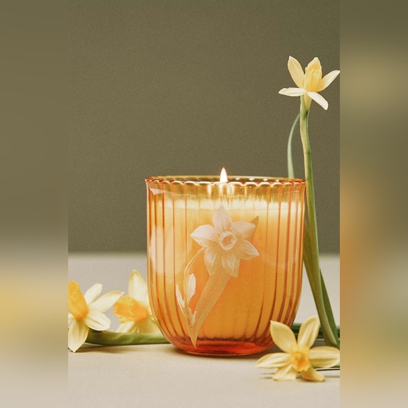 Anthropologie Birth Month Flower Boxed Candle March Daffodil & Ivy Leaves - Picture 2 of 3